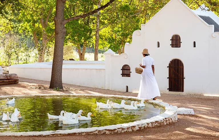 Babylonstoren wine farm and gardens in the Cape Winelands near Cape Town
