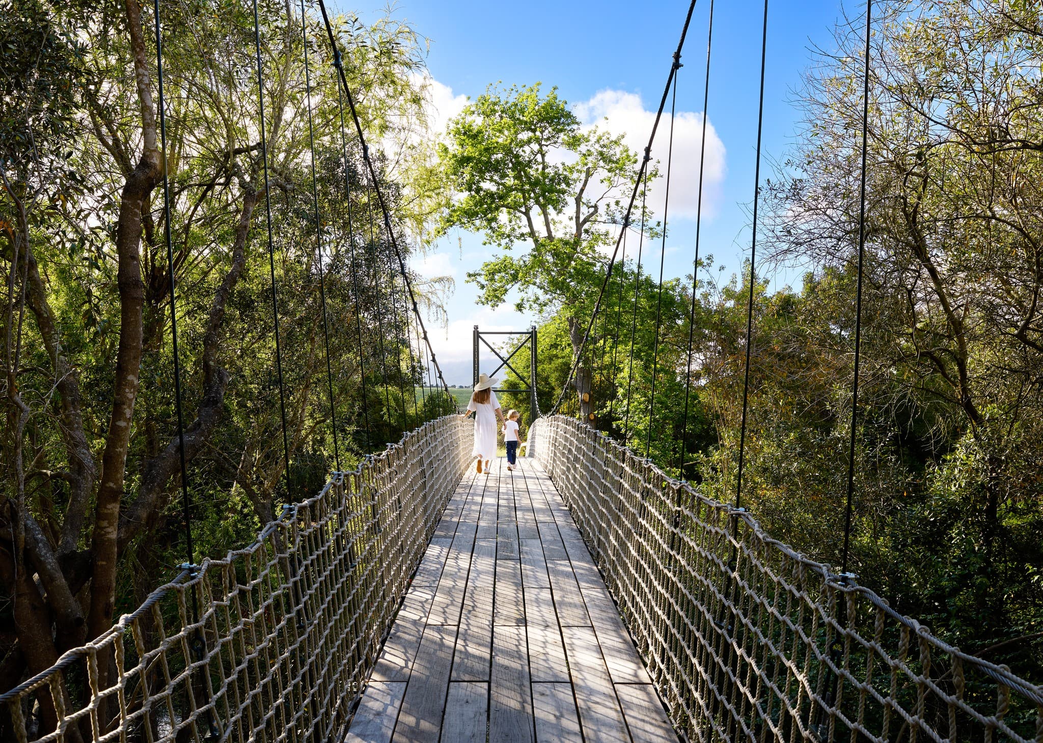 Spier Wine Farm in the Cape Winelands near Cape Town