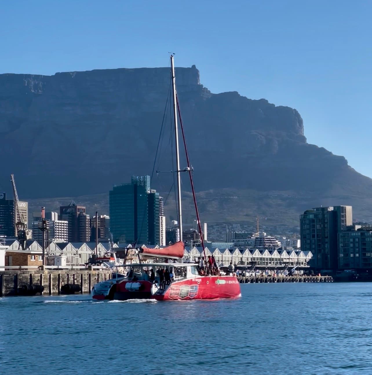 Harbour Cruise on the City and Table Mountain Tour