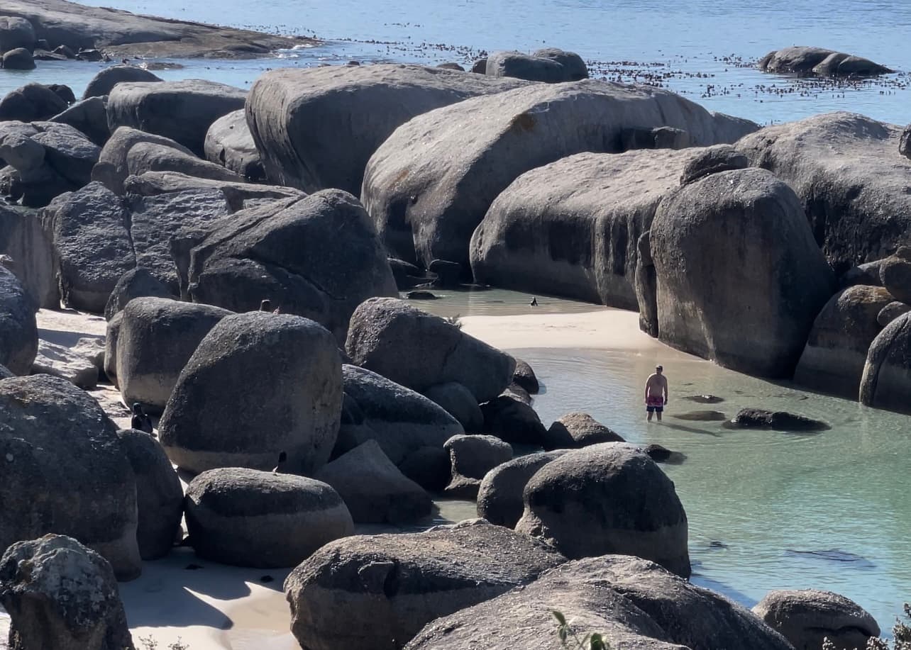 Boulders Beach on the Cape Peninsula Private Tour