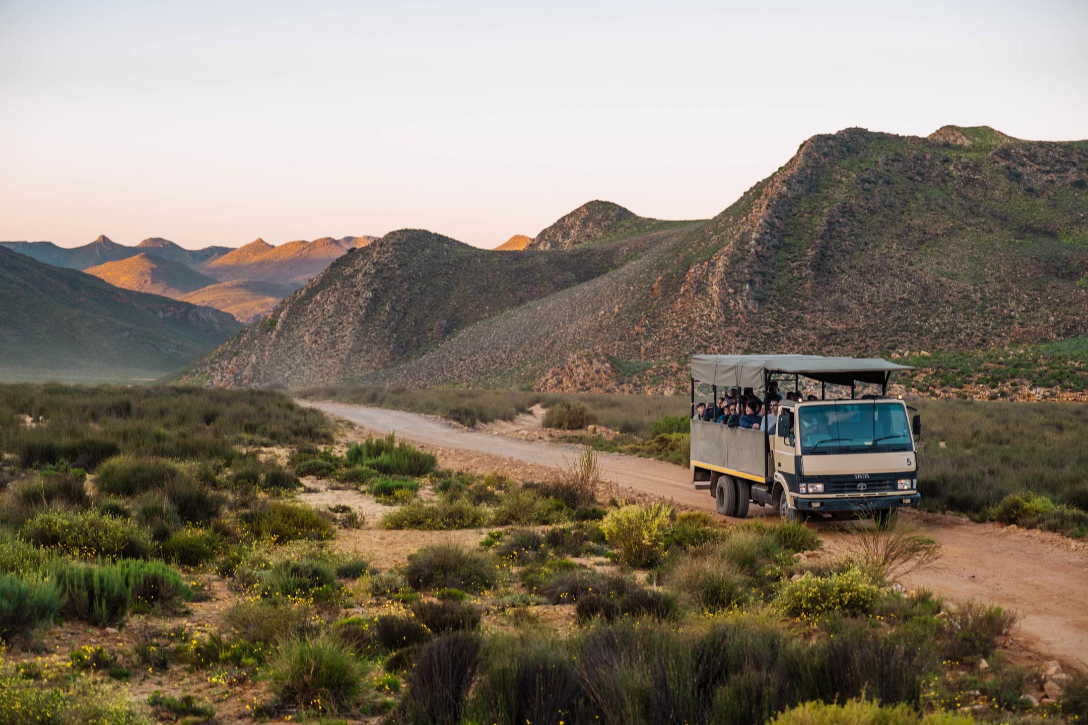 Big 5 Safari from Cape Town | Private Day Trip to Aquila