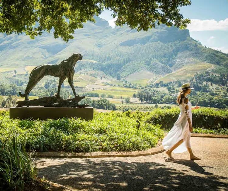 Delaire Graff Estate on the Cape Winelands Private Tour | Stellenbosch & Franschhoek