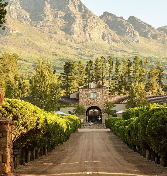 Waterford Estate on the Cape Winelands Private Tour | Stellenbosch & Franschhoek